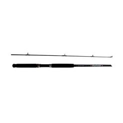 Spinning Rods Surecatch Bigfield Spinning Rod 9ft 2 Piece