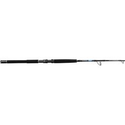 Overhead Rods Shimano TCurve Deep Jig Overhead Rod