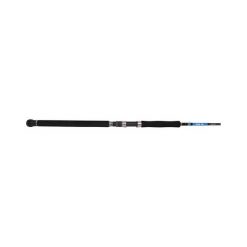 Spinning Rods Savage Gear Salt 1DFR Inshore Spinning Rod 9ft 6-10kg 2pc