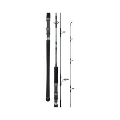 Spinning Rods Daiwa 20 TD Saltwater Spinning Rod